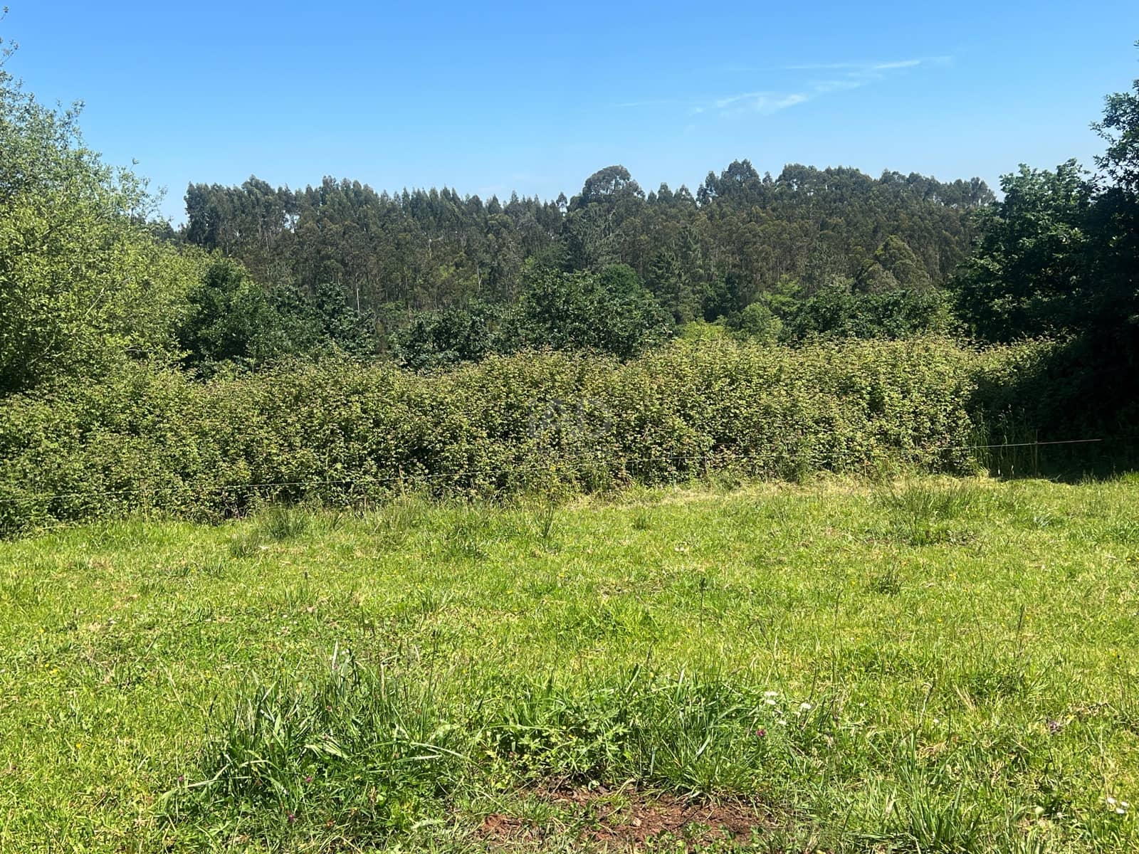 Ubebygd land til salgs i Castrillon - € 27 500 (Ref: 9989123)