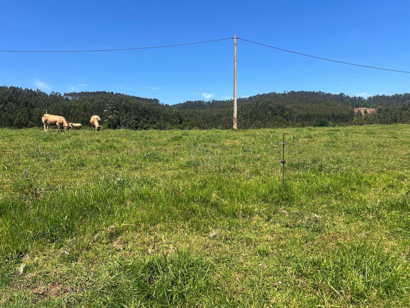 Ubebygd land til salgs i Castrillon - € 27 500 (Ref: 9989123)
