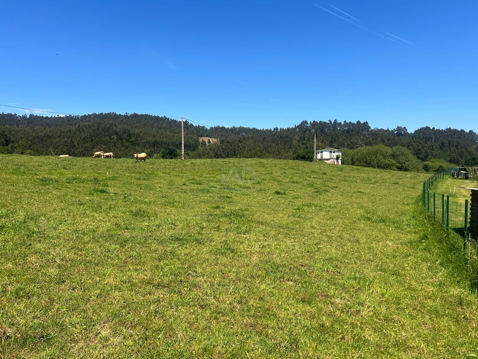 Ubebygd land til salgs i Castrillon - € 27 500 (Ref: 9989123)