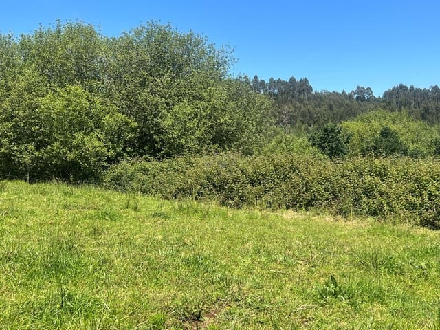 Ubebygd land til salgs i Castrillón - € 27 500 (Ref: 9989123)