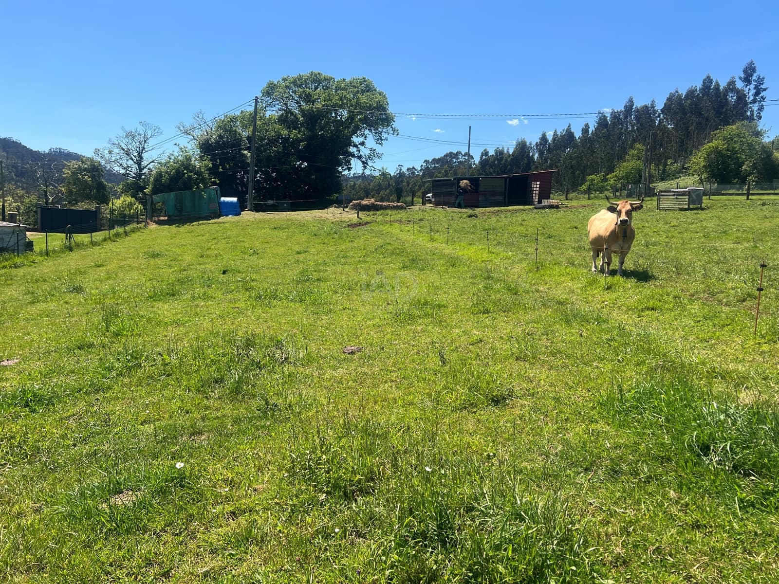 Ubebygd land til salgs i Castrillon - € 27 500 (Ref: 9989123)