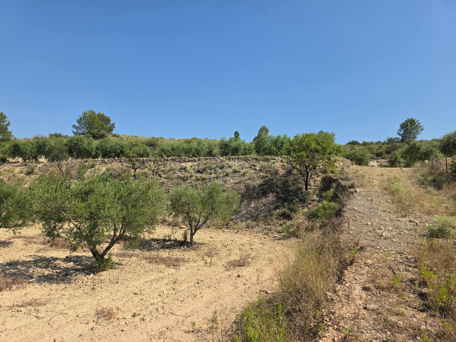 Grond te koop in Calasparra - € 30.000 (Ref: 9989133)