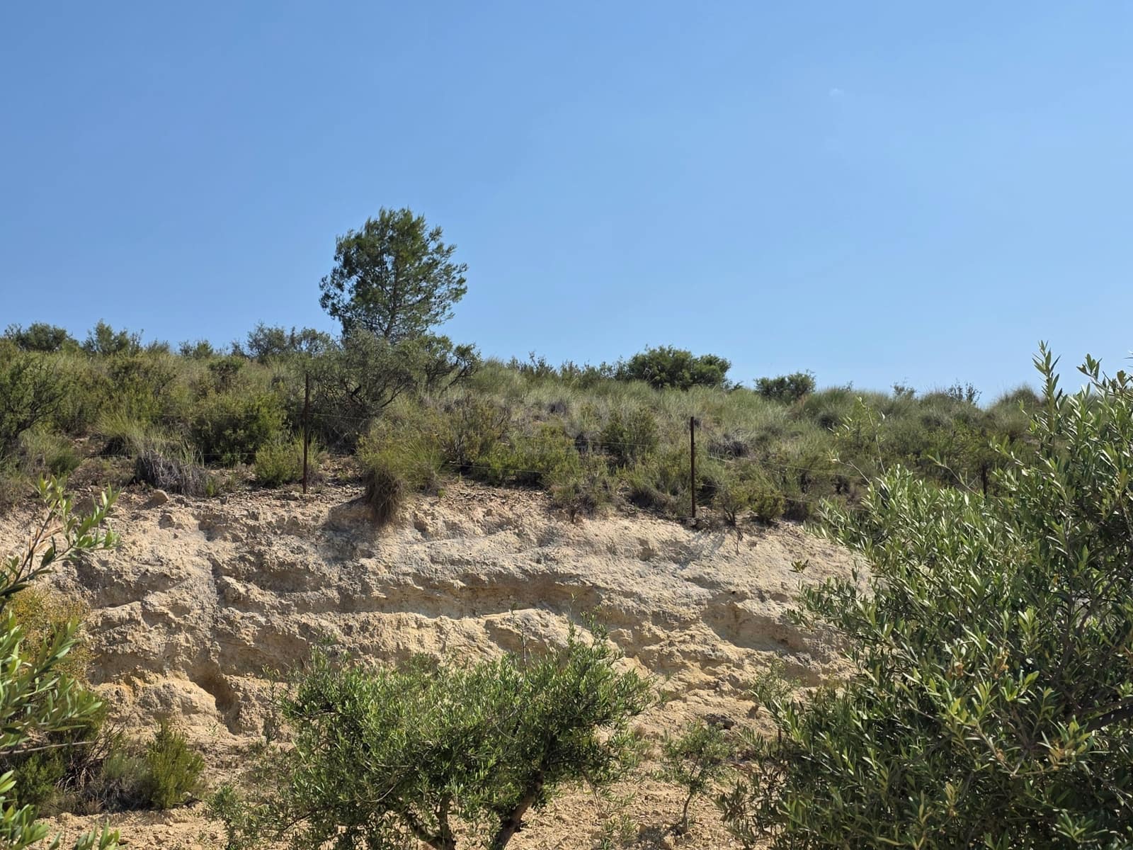 Grond te koop in Calasparra - € 30.000 (Ref: 9989133)