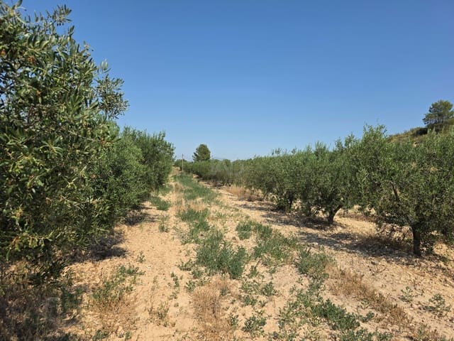 Grond te koop in Calasparra - € 30.000 (Ref: 9989133)