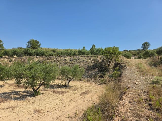 Grond te koop in Calasparra - € 30.000 (Ref: 9989133)