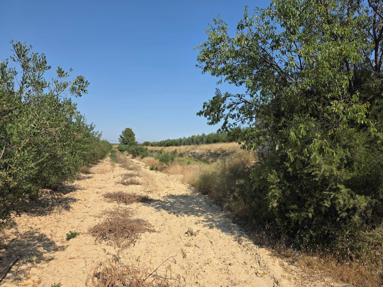 Grond te koop in Calasparra - € 30.000 (Ref: 9989133)
