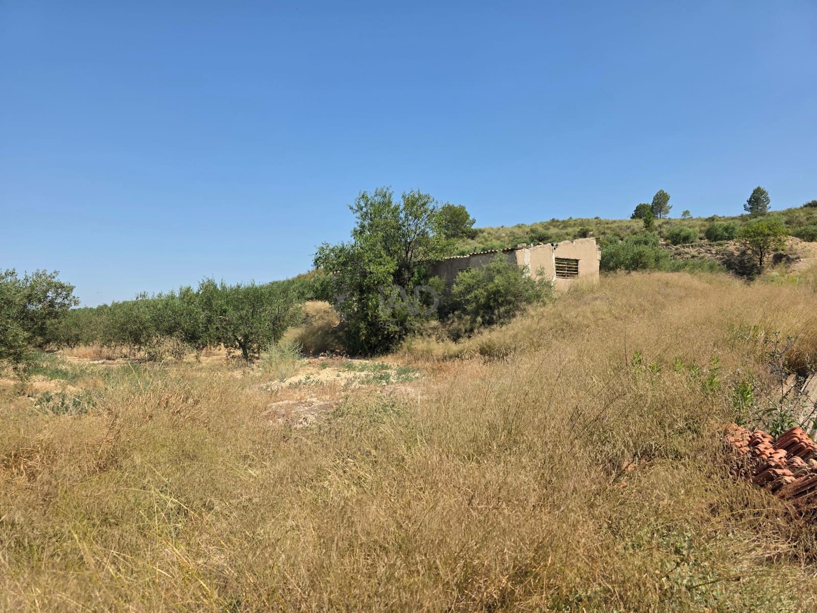Grond te koop in Calasparra - € 30.000 (Ref: 9989133)