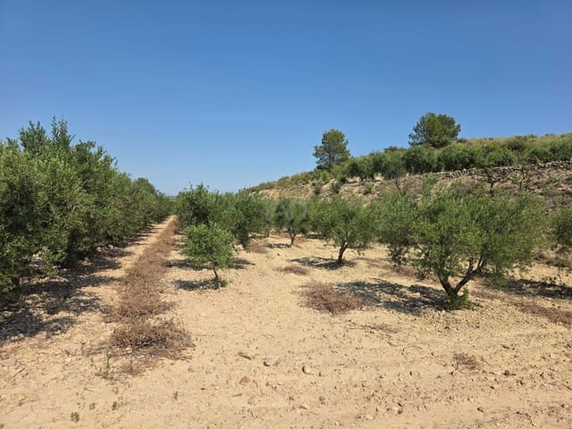 Grond te koop in Calasparra - € 30.000 (Ref: 9989133)