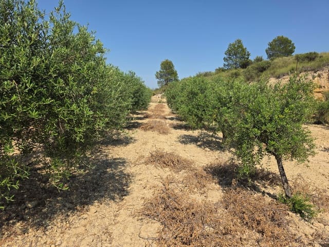 Grond te koop in Calasparra - € 30.000 (Ref: 9989133)