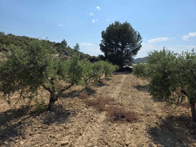Grond te koop in Calasparra - € 30.000 (Ref: 9989133)