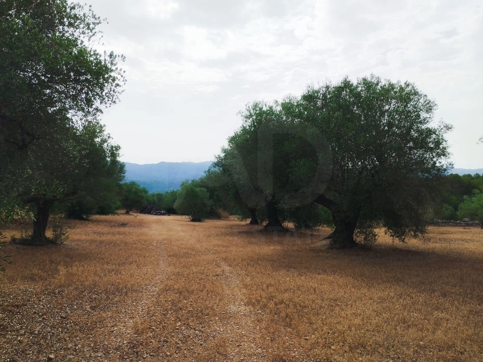 Finca/Herregård til salgs i Tortosa - € 99 000 (Ref: 9989148)