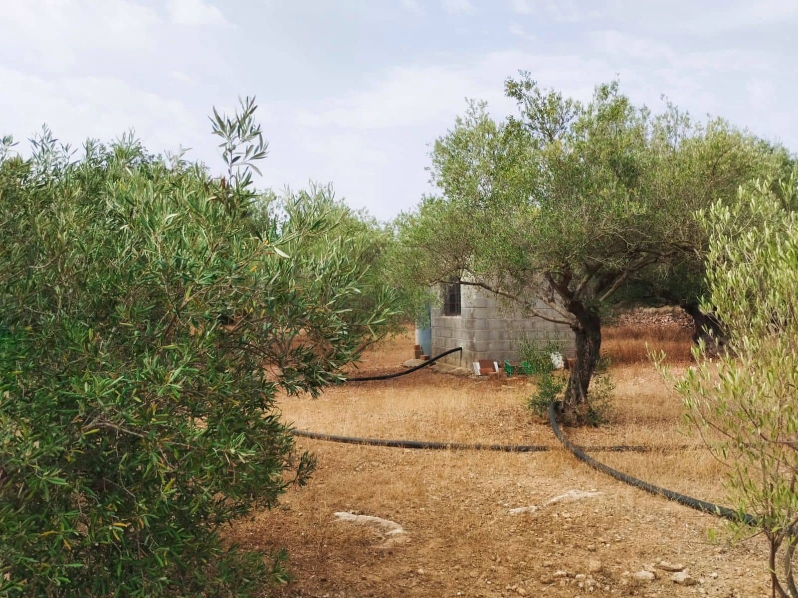 Finca/Herregård til salgs i Tortosa - € 99 000 (Ref: 9989148)