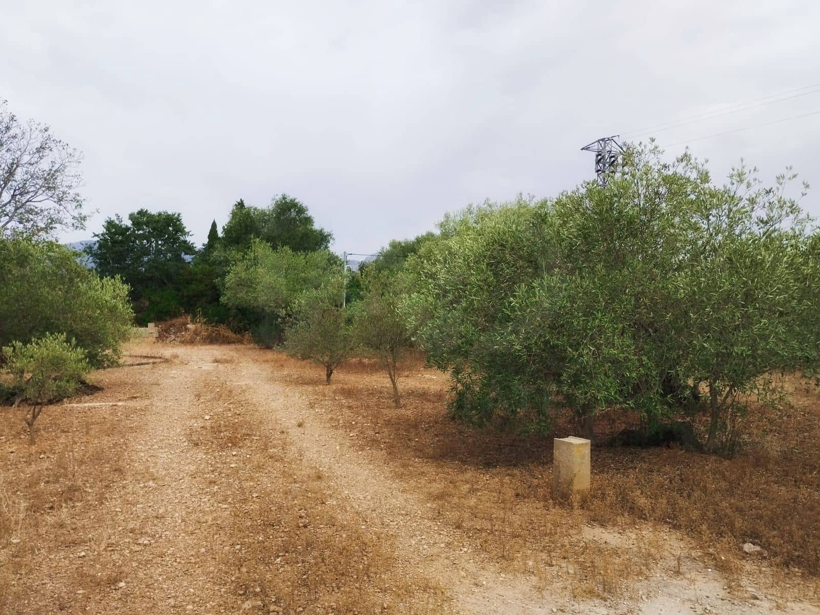 Finca/Herregård til salgs i Tortosa - € 99 000 (Ref: 9989148)