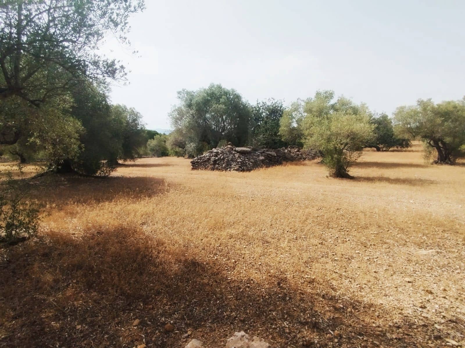Finca/Herregård til salgs i Tortosa - € 99 000 (Ref: 9989148)