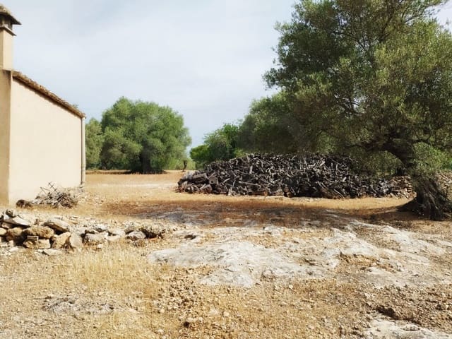 Finca/Herregård til salgs i Tortosa - € 99 000 (Ref: 9989148)