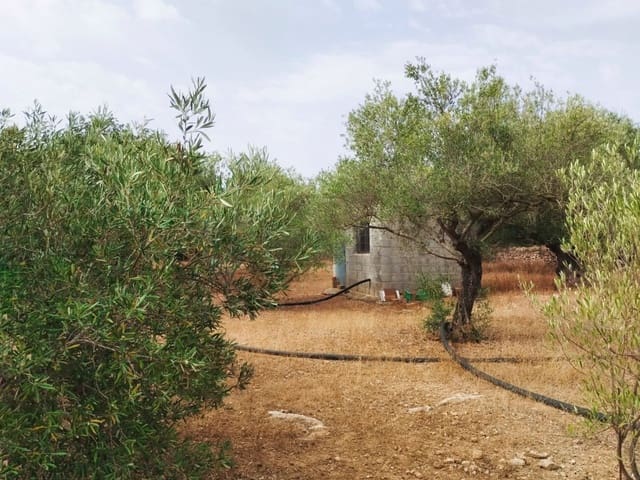 Finca/Herregård til salgs i Tortosa - € 99 000 (Ref: 9989148)