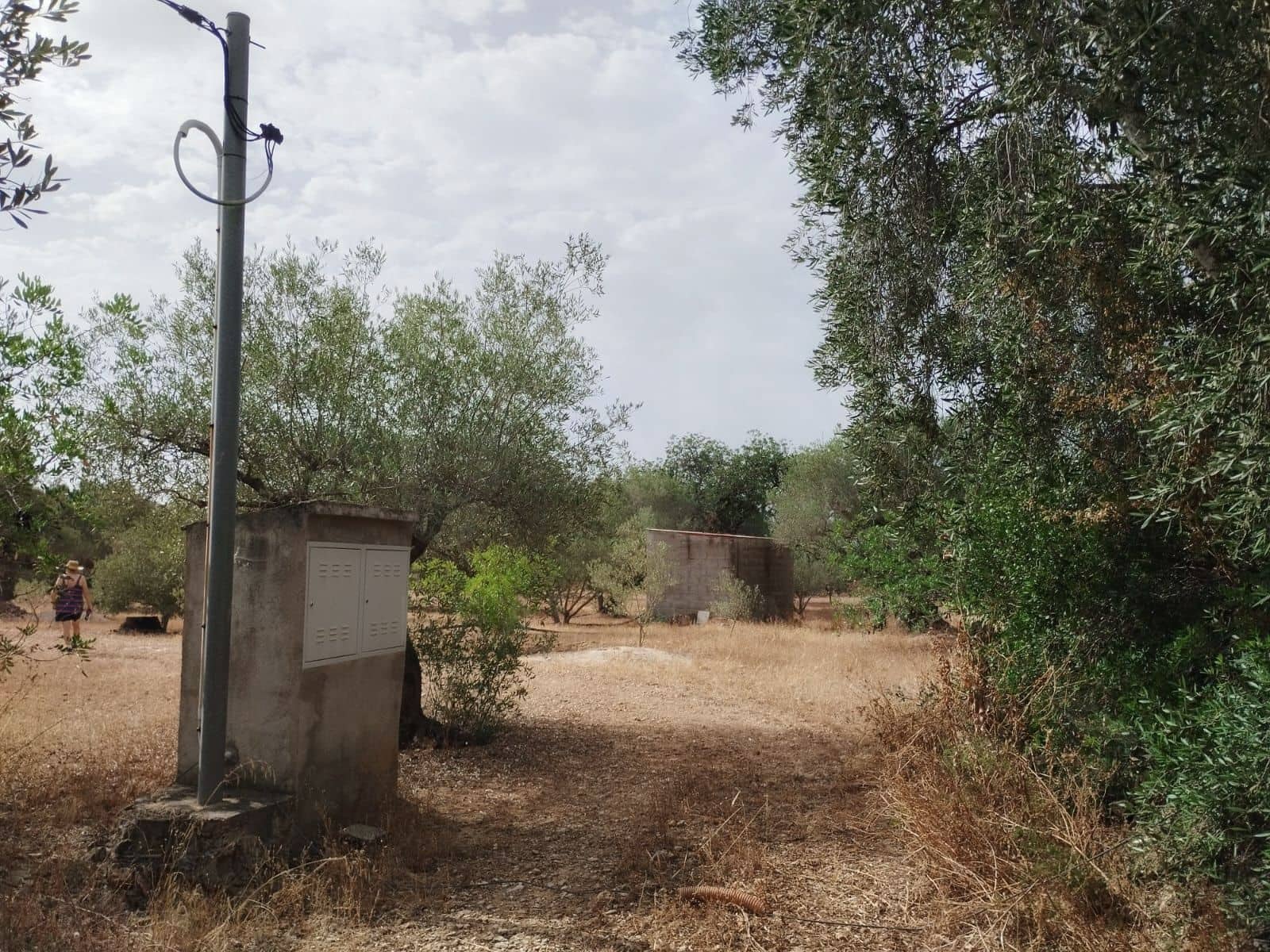 Finca/Herregård til salgs i Tortosa - € 99 000 (Ref: 9989148)