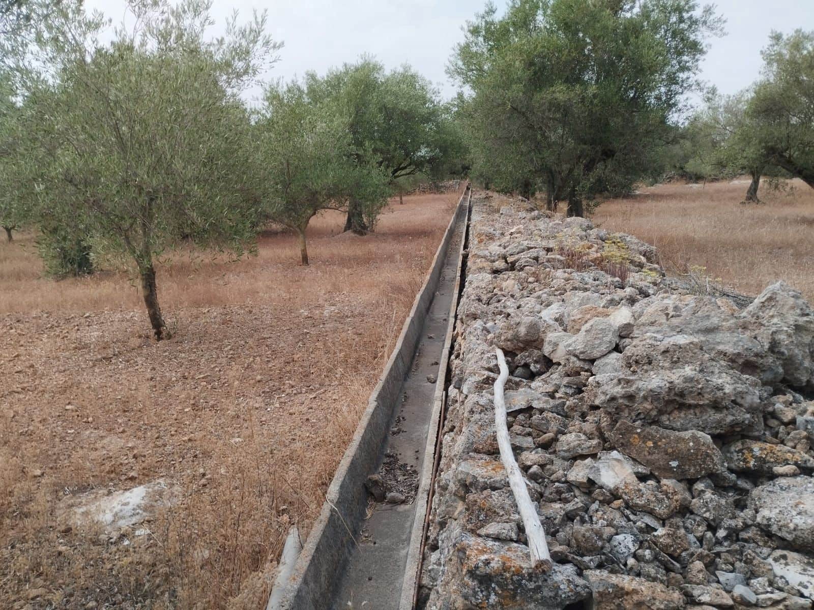 Finca/Herregård til salgs i Tortosa - € 99 000 (Ref: 9989148)
