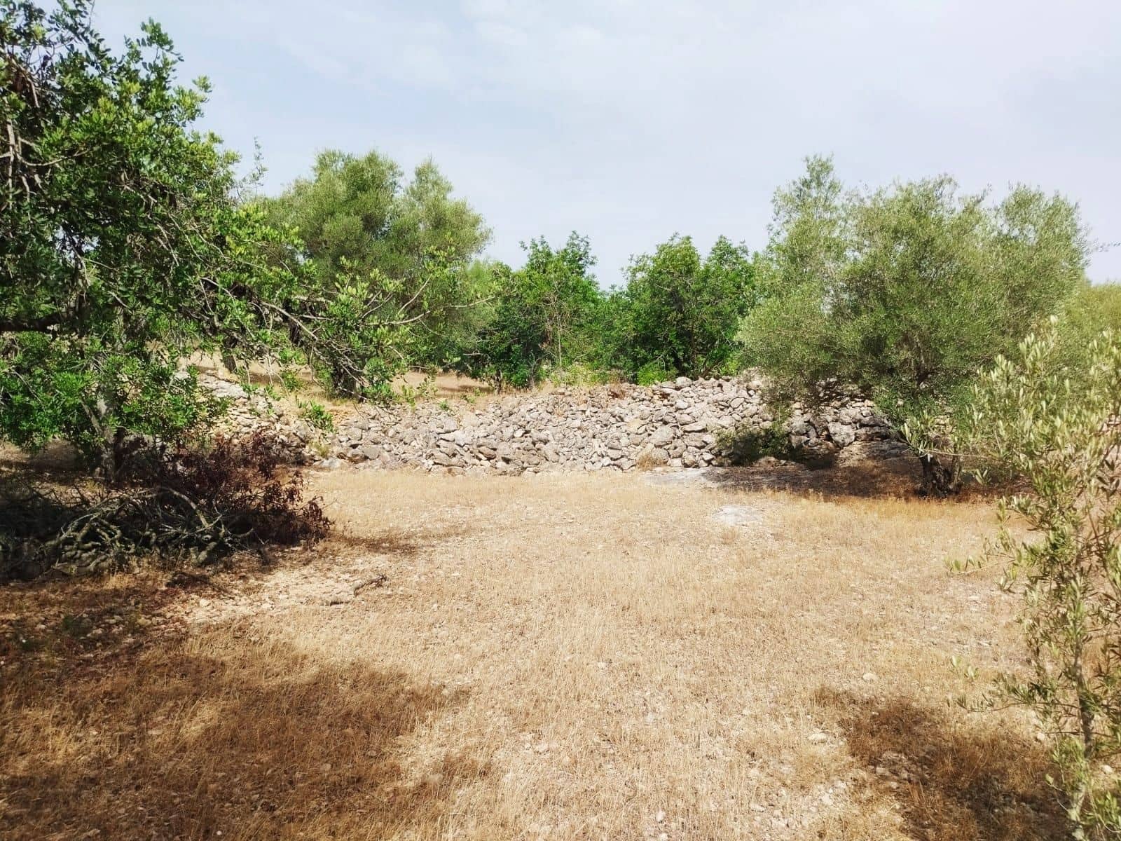 Finca/Herregård til salgs i Tortosa - € 99 000 (Ref: 9989148)