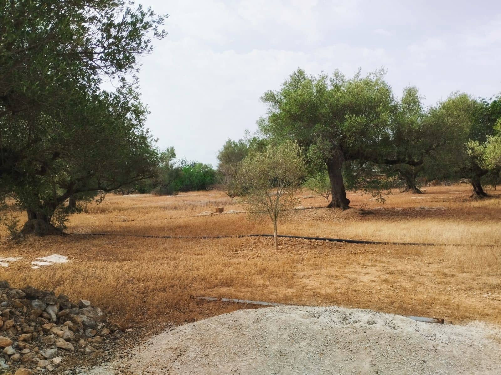 Finca/Herregård til salgs i Tortosa - € 99 000 (Ref: 9989148)