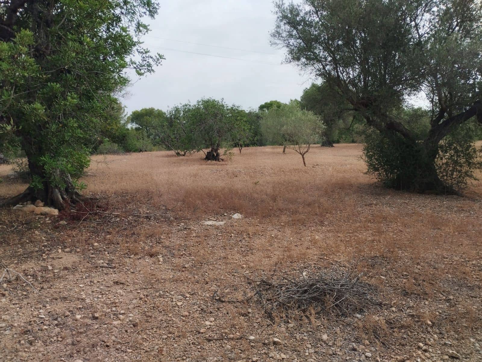 Finca/Herregård til salgs i Tortosa - € 99 000 (Ref: 9989148)