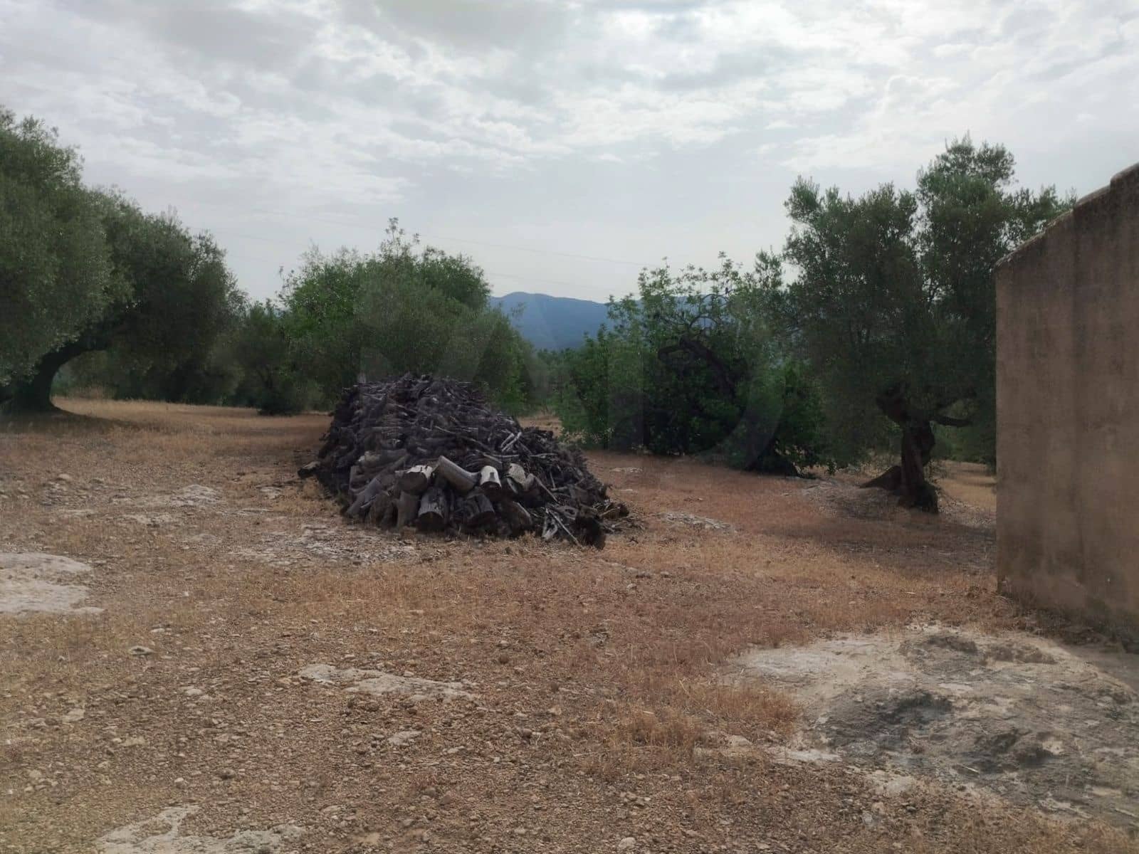 Finca/Herregård til salgs i Tortosa - € 99 000 (Ref: 9989148)