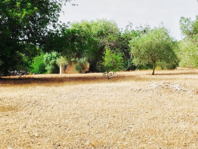 Finca/Herregård til salgs i Tortosa - € 99 000 (Ref: 9989148)