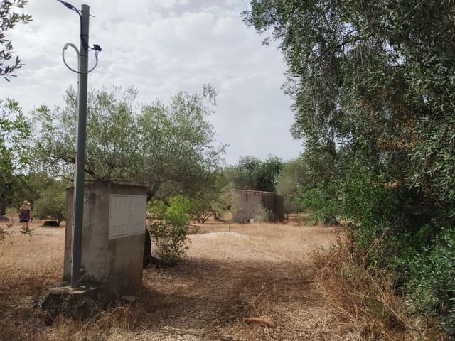 Finca/Herregård til salgs i Tortosa - € 99 000 (Ref: 9989148)