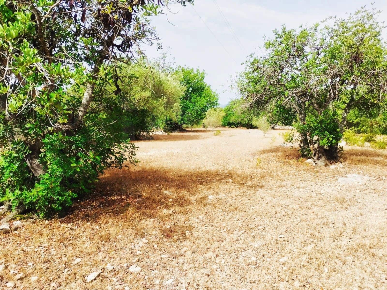 Finca/Herregård til salgs i Tortosa - € 99 000 (Ref: 9989148)
