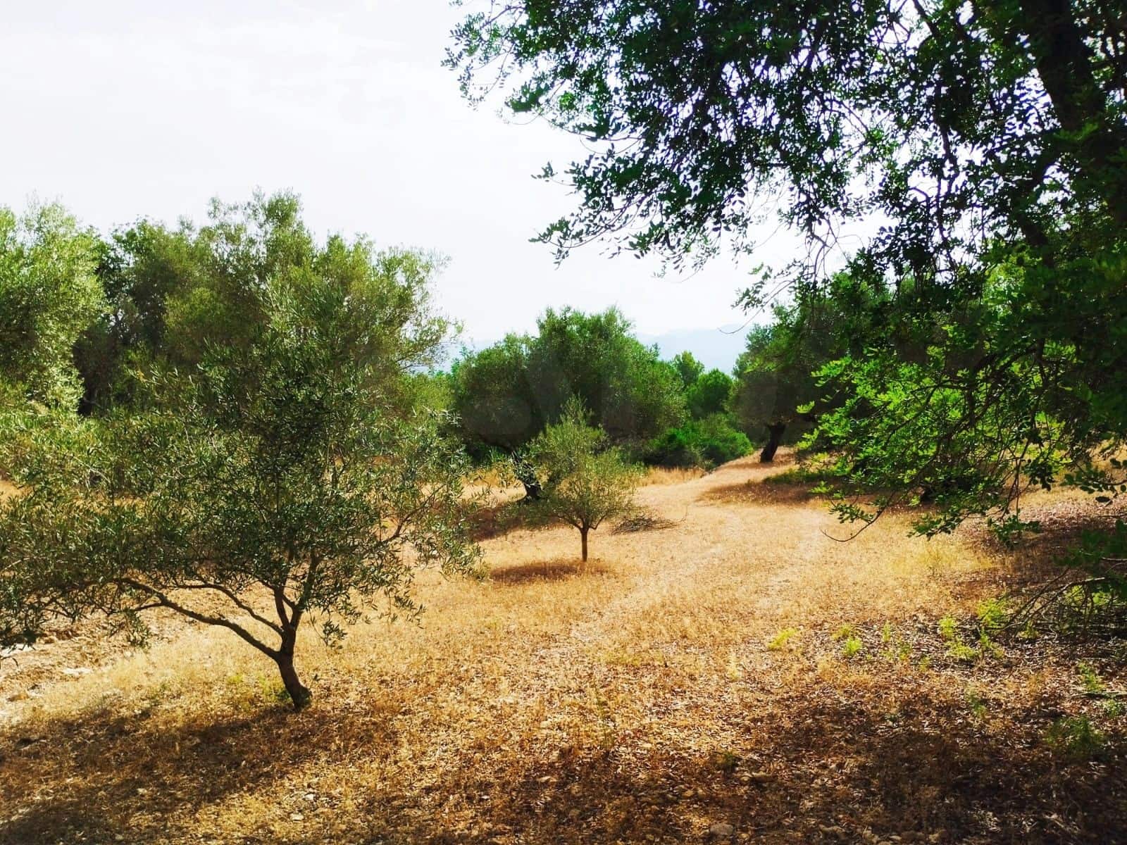 Finca/Herregård til salgs i Tortosa - € 99 000 (Ref: 9989148)