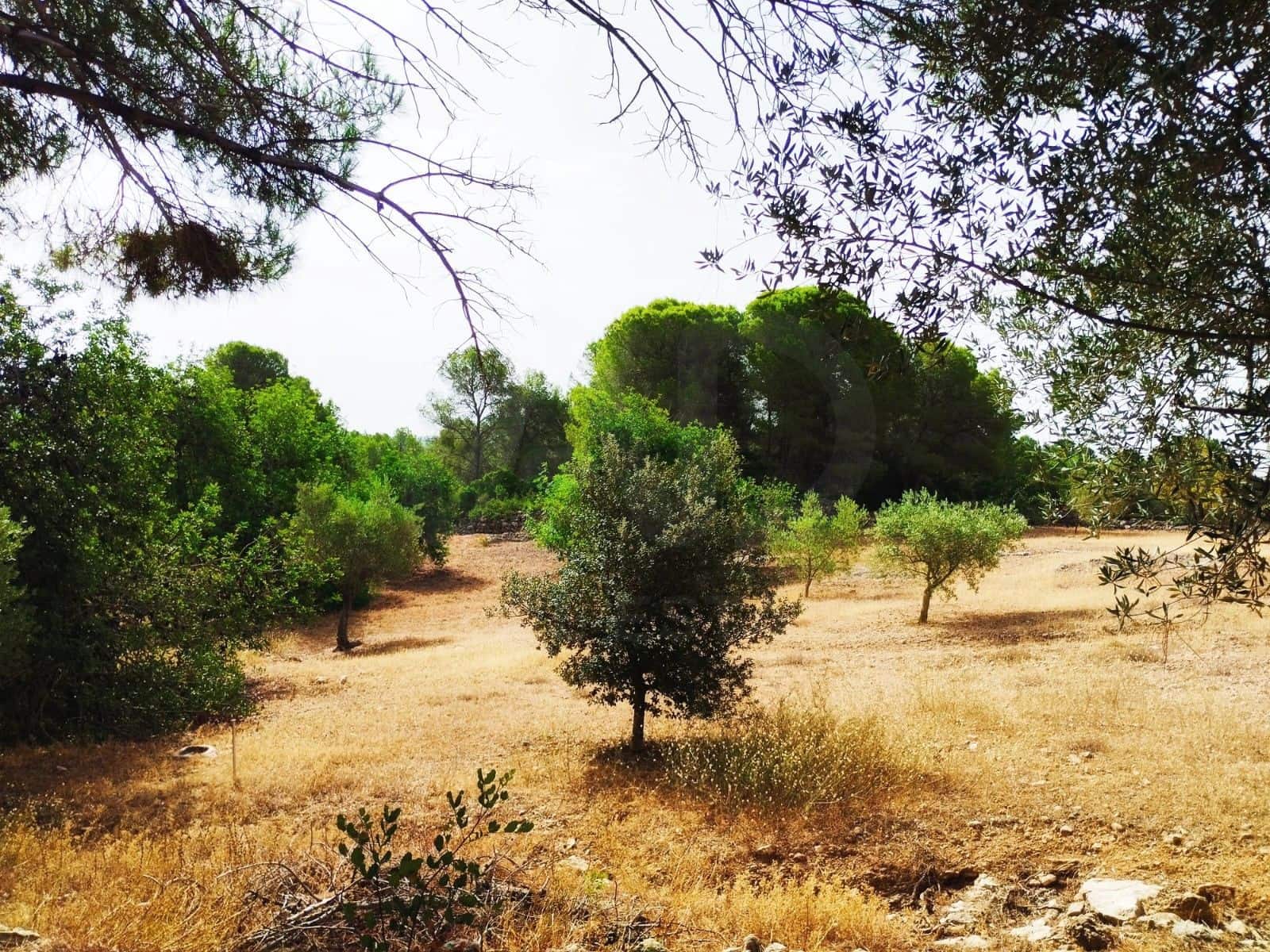 Finca/Herregård til salgs i Tortosa - € 99 000 (Ref: 9989148)