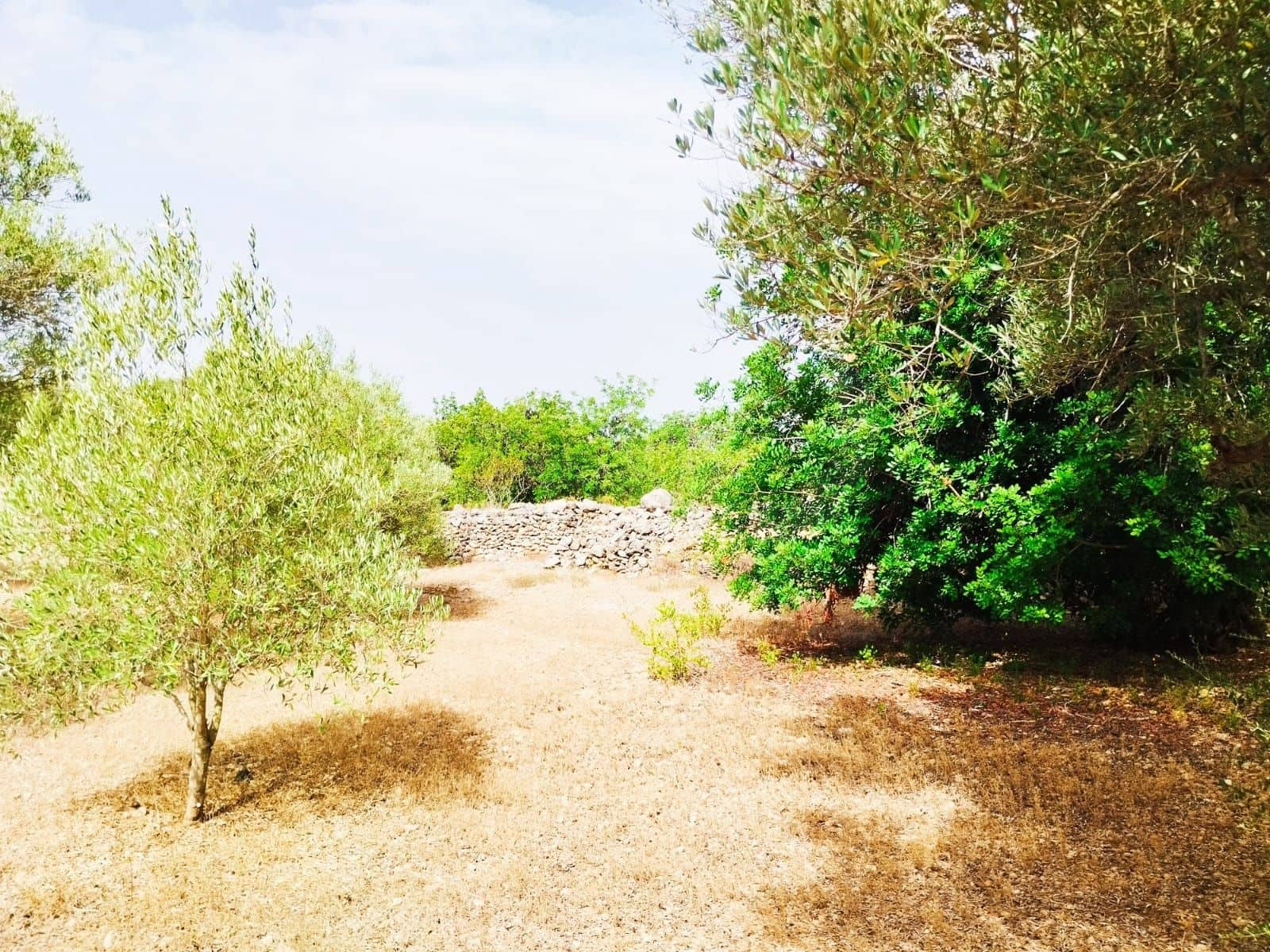 Finca/Herregård til salgs i Tortosa - € 99 000 (Ref: 9989148)