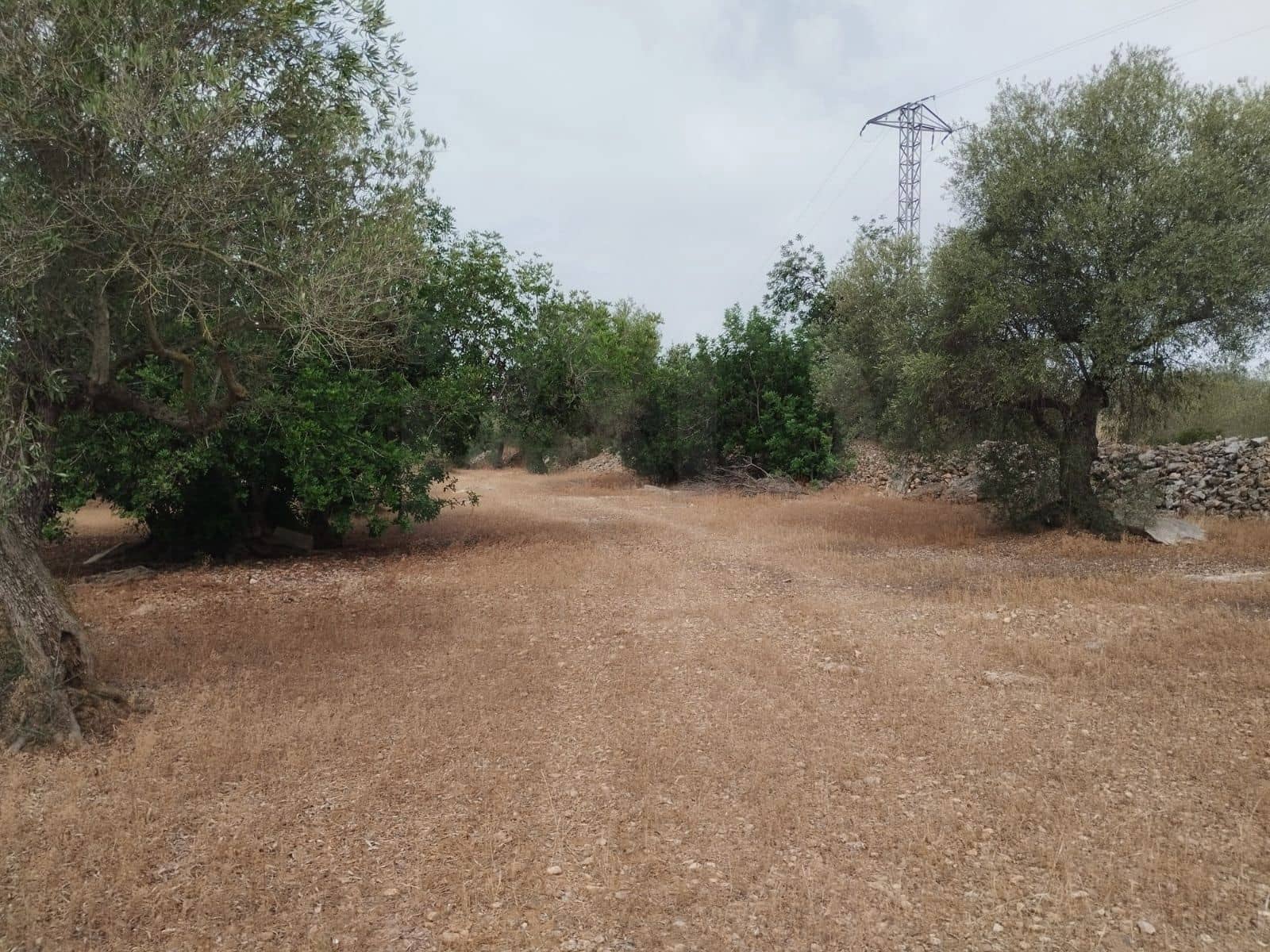 Finca/Herregård til salgs i Tortosa - € 99 000 (Ref: 9989148)