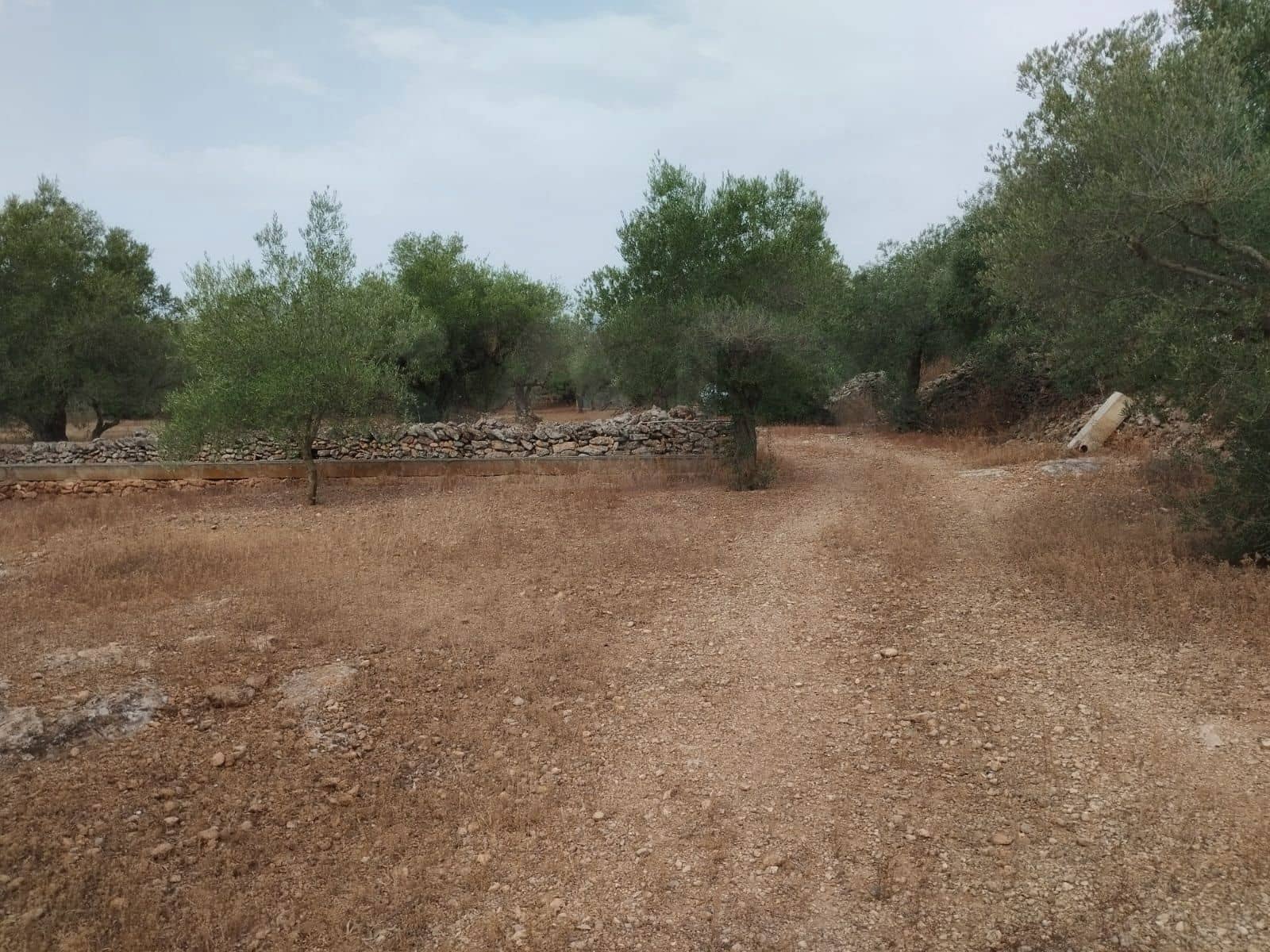 Finca/Herregård til salgs i Tortosa - € 99 000 (Ref: 9989148)