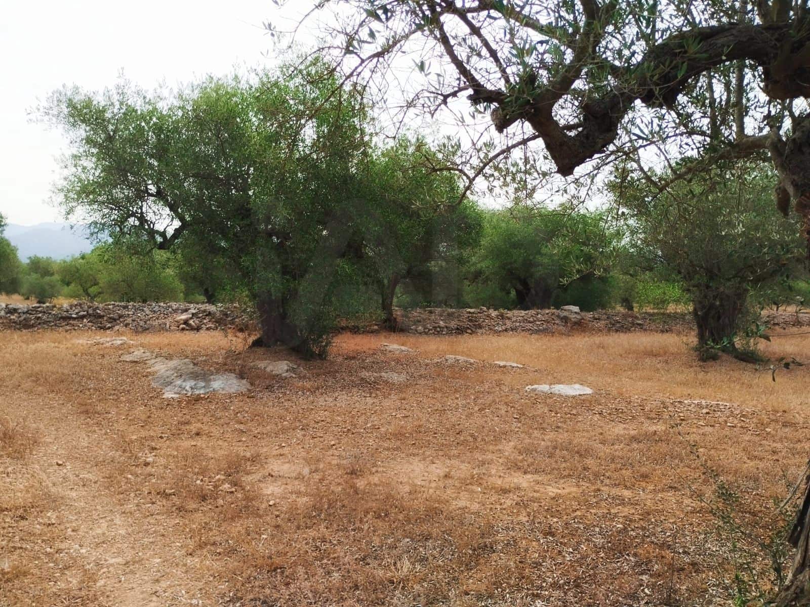 Finca/Herregård til salgs i Tortosa - € 99 000 (Ref: 9989148)