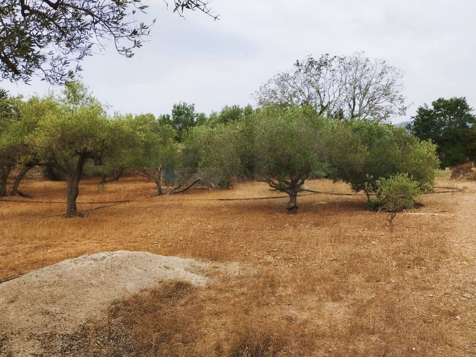 Finca/Herregård til salgs i Tortosa - € 99 000 (Ref: 9989148)