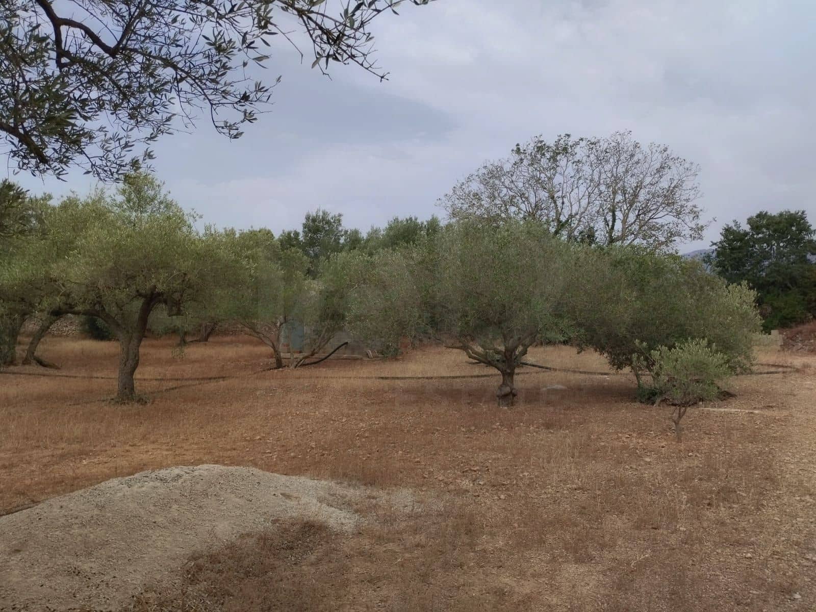Finca/Herregård til salgs i Tortosa - € 99 000 (Ref: 9989148)