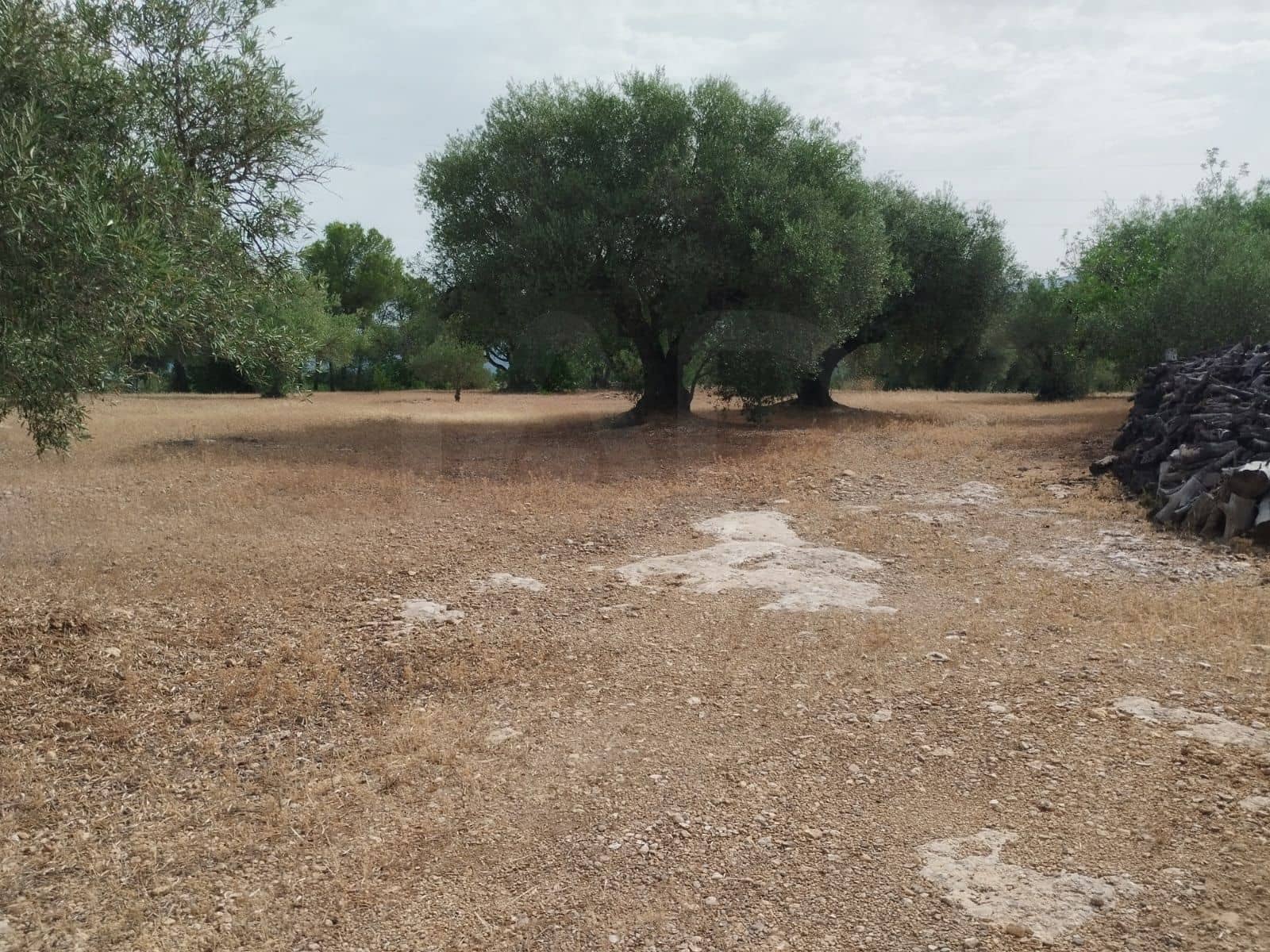 Finca/Herregård til salgs i Tortosa - € 99 000 (Ref: 9989148)