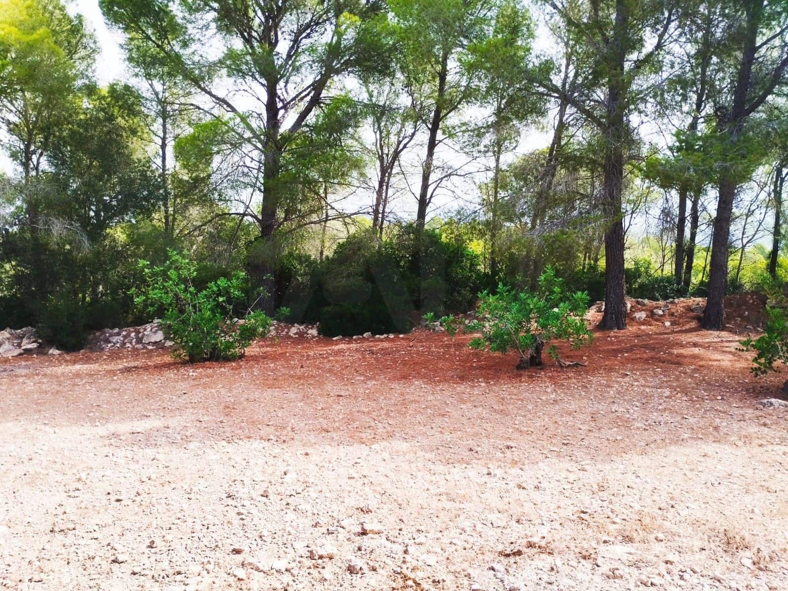 Finca/Country House for sale in Tortosa - € 99,000 (Ref: 9989148)