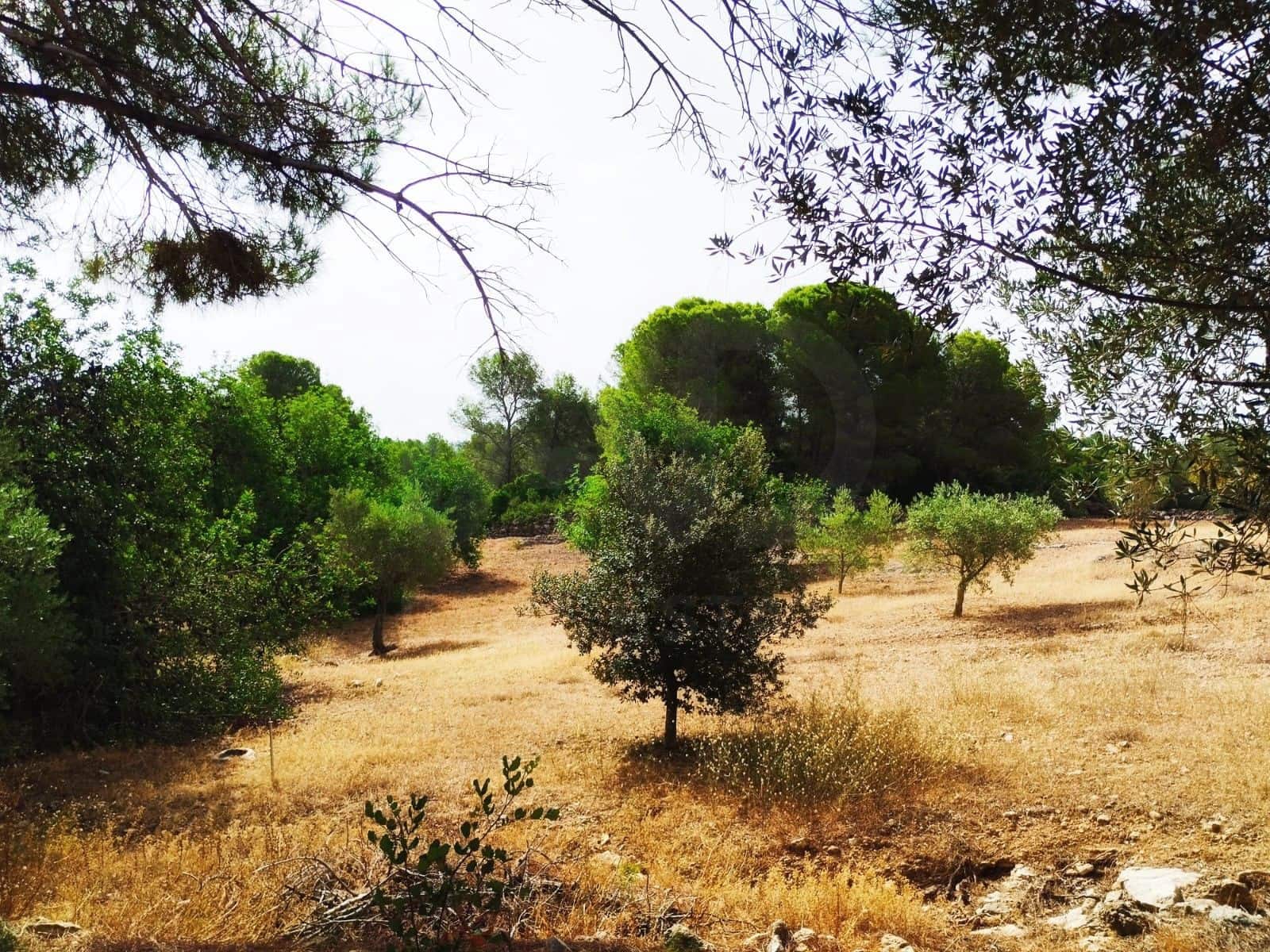 Finca/Country House for sale in Tortosa - € 99,000 (Ref: 9989148)