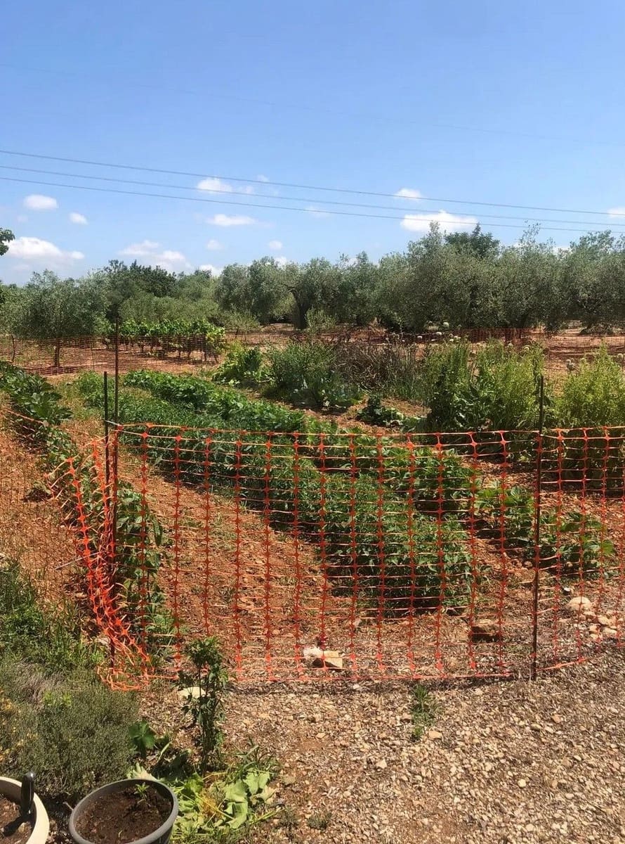 Terreno para Construção para venda em San Rafael del Rio / Sant Rafael del Riu - 189 000 € (Ref: 9989153)