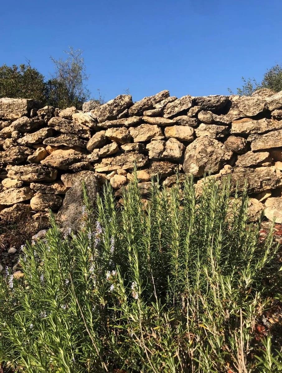Terreno para Construção para venda em San Rafael del Rio / Sant Rafael del Riu - 189 000 € (Ref: 9989153)