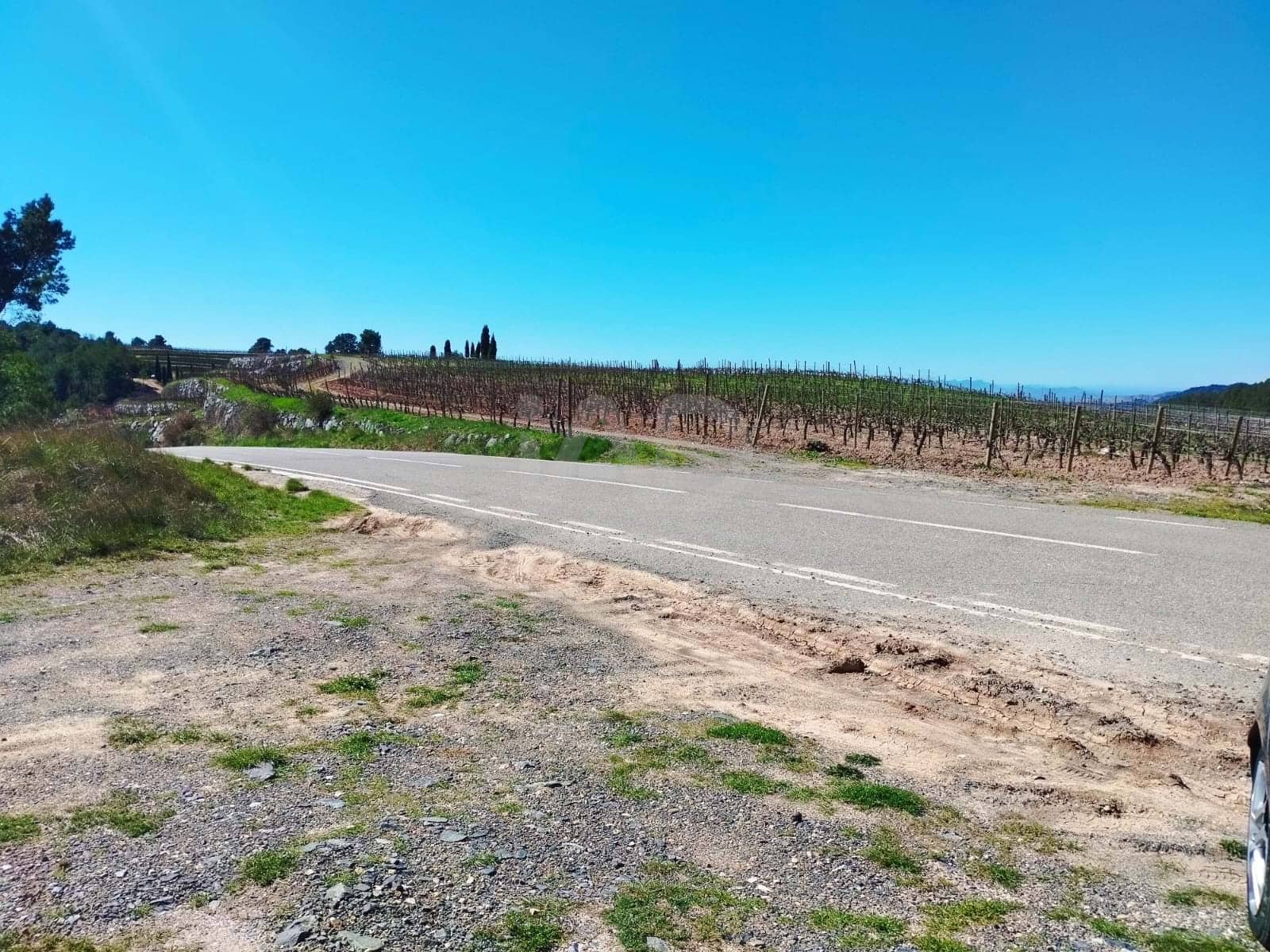 Mark till salu i La Morera de Montsant - 156 000 € (Ref: 9989162)