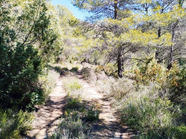 Grunde uden byggetilladelser til salg i La Morera de Montsant - € 156.000 (Ref: 9989162)