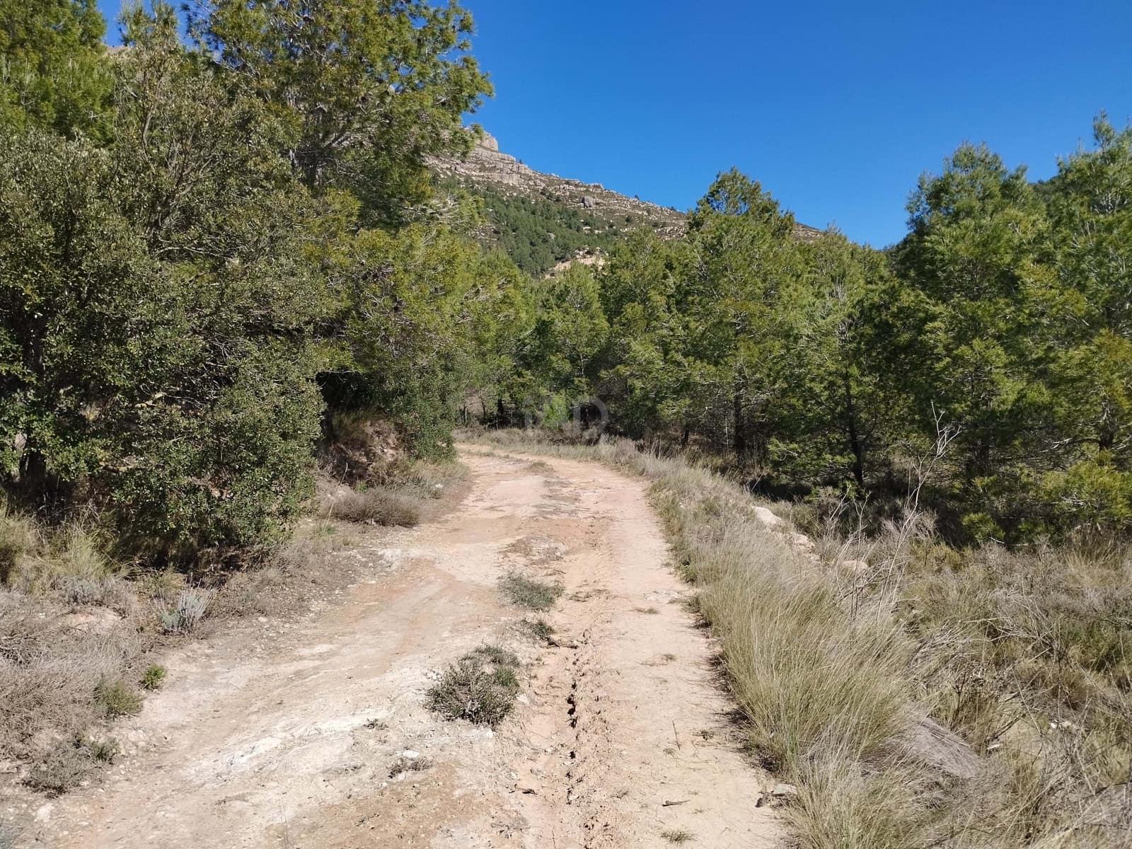 Mark till salu i La Morera de Montsant - 156 000 € (Ref: 9989162)