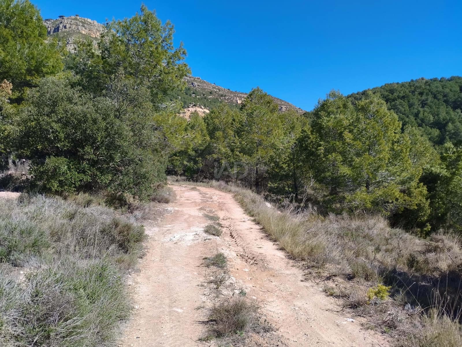 Mark till salu i La Morera de Montsant - 156 000 € (Ref: 9989162)