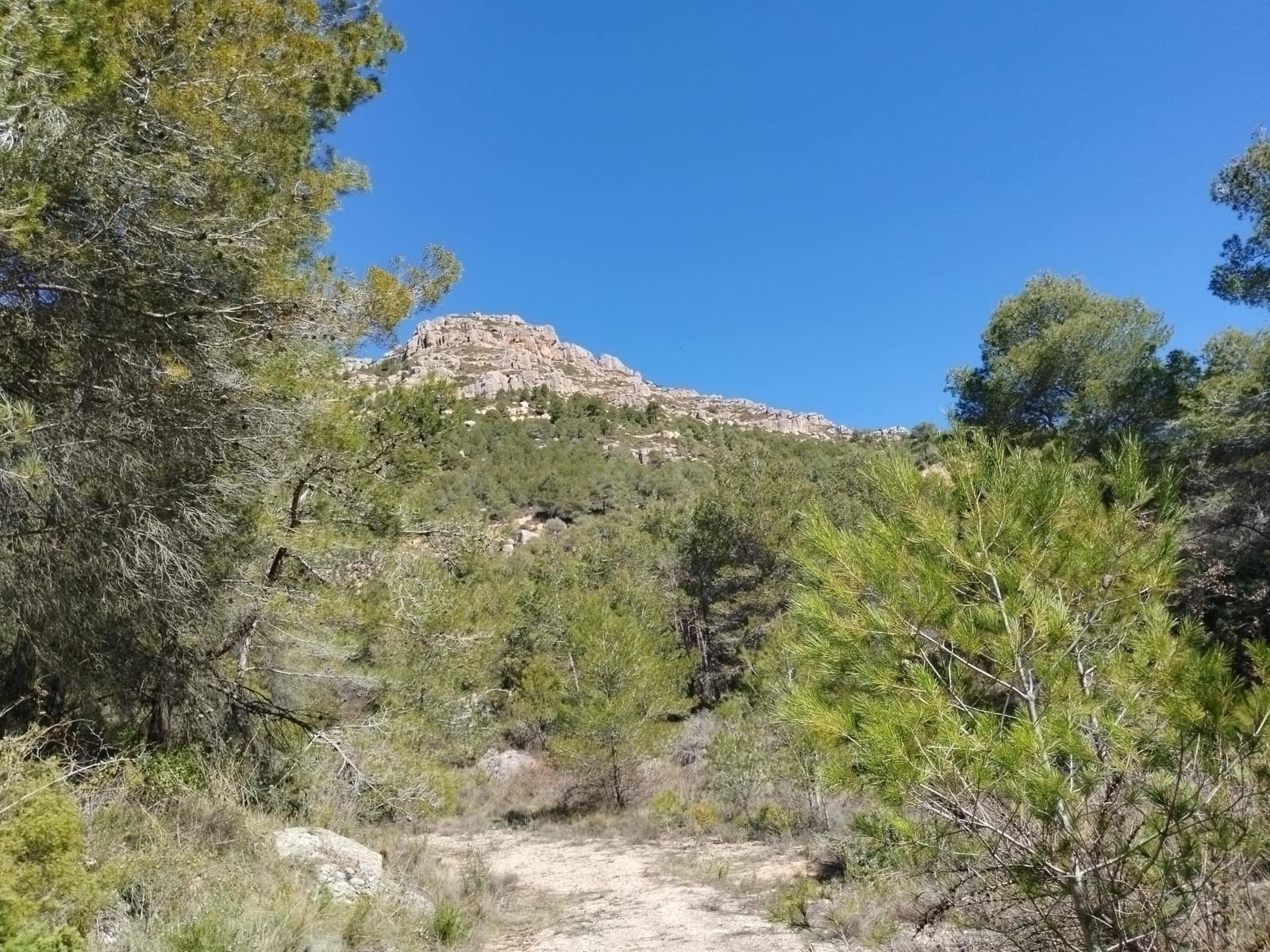 Mark till salu i La Morera de Montsant - 156 000 € (Ref: 9989162)
