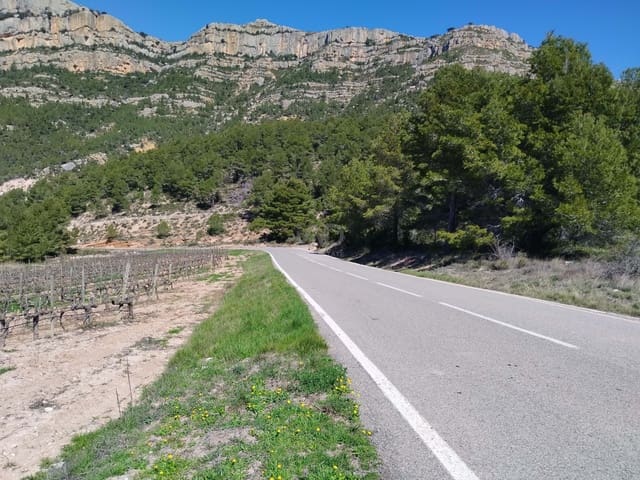 Grunde uden byggetilladelser til salg i La Morera de Montsant - € 156.000 (Ref: 9989162)