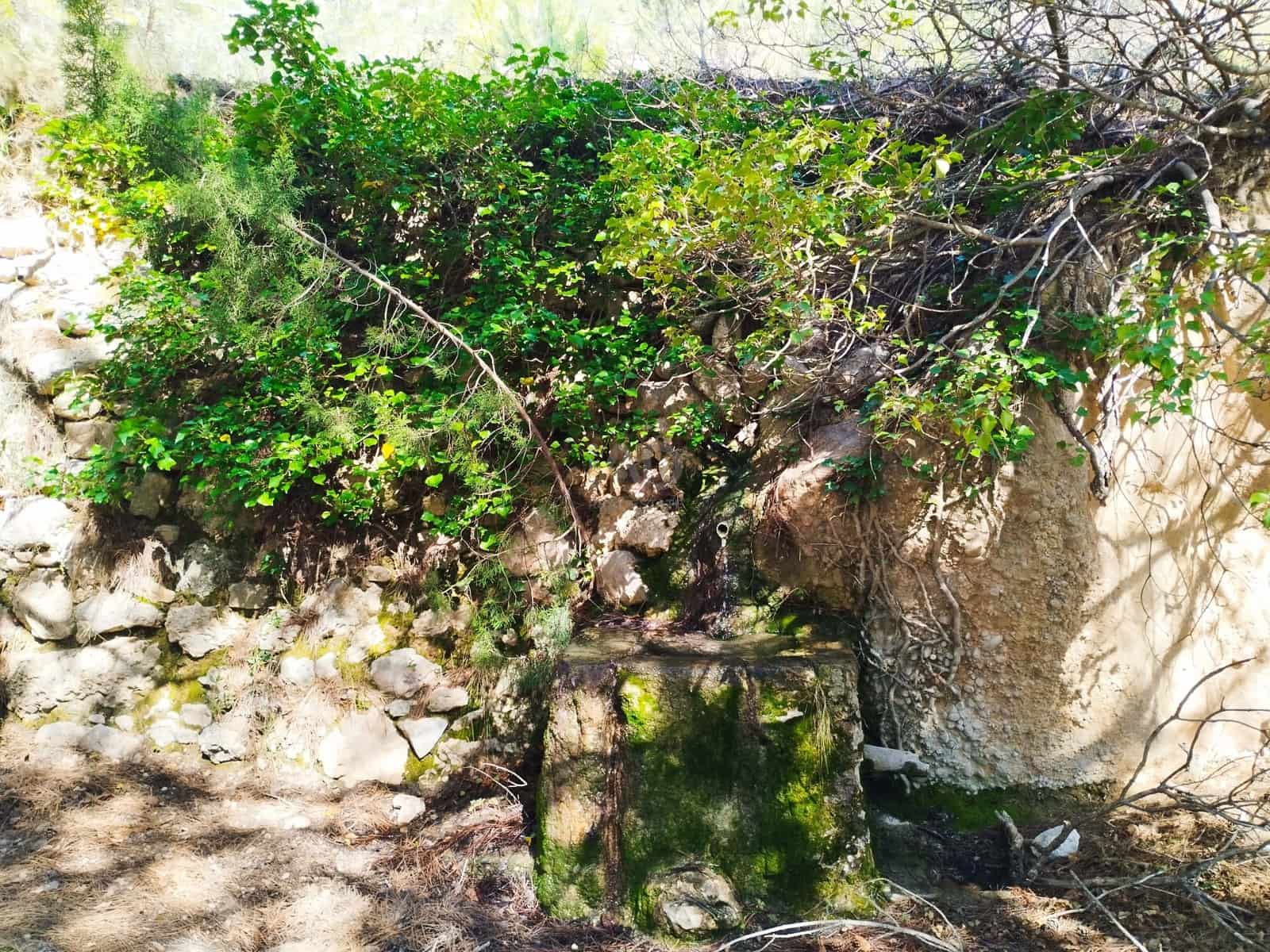 Mark till salu i La Morera de Montsant - 156 000 € (Ref: 9989162)