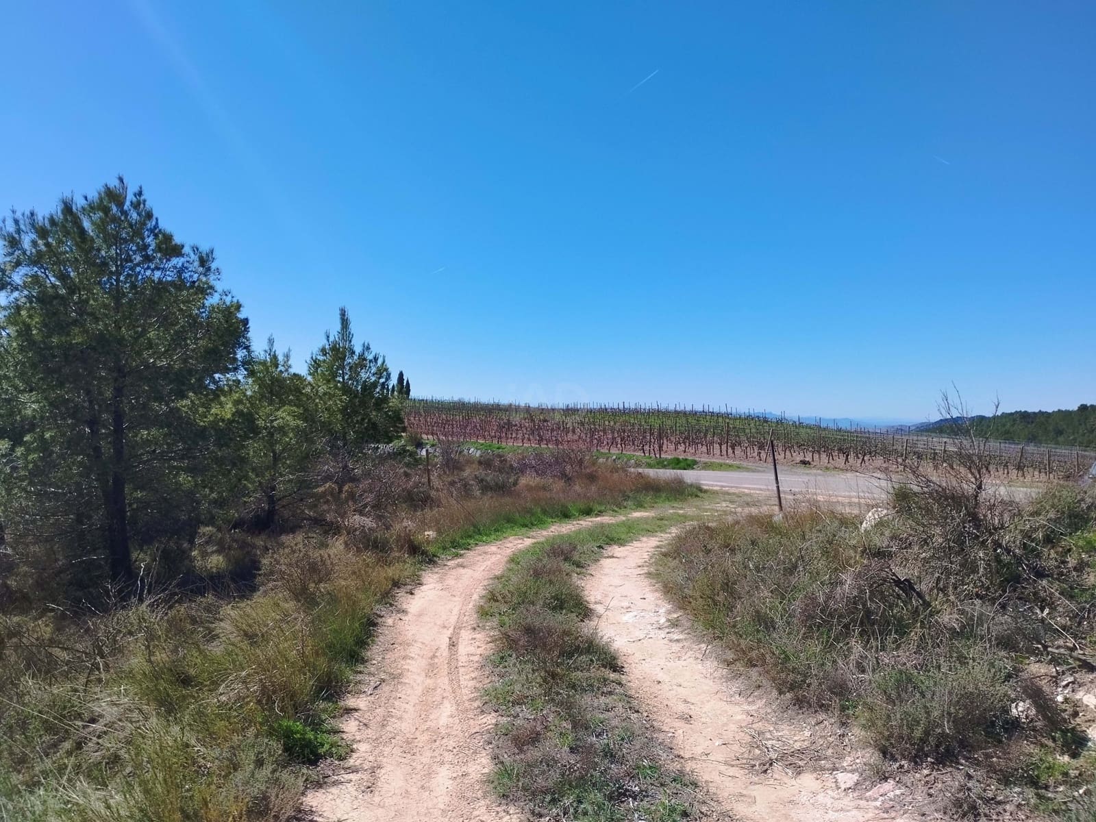 Mark till salu i La Morera de Montsant - 156 000 € (Ref: 9989162)
